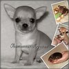 chihua