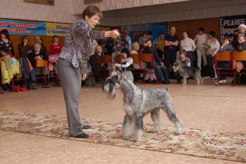 Виват Барбудо Эмиссар