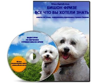  БИШОН ФРИЗЕ.  книга Phd +DVD видео курс по стрижке Бишона 