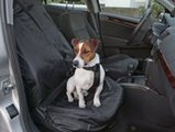 Ремни безопасности для собак не спасают при ДТП