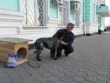 Возле благовещенской администрации амурчанин посадил на цепь пса