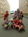 В Приморье детей беженцев из Украины лечат с помощью собак