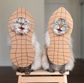 Кошки Алиса и Финнеган - новые звезды Instagram