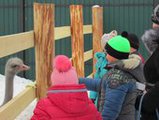 Местом паломничества приморцев в праздники стал мини-зоопарк в Уссурийске