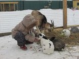 Местом паломничества приморцев в праздники стал мини-зоопарк в Уссурийске