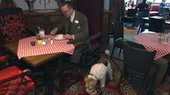 Ресторан для собак-гурманов открылся в Берлине