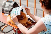 В Приморье прошла вставка собак "Весенние ринги 2015"