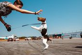 В Приморье прошла вставка собак "Весенние ринги 2015"