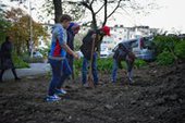 Во Владивостоке спасли кошку, закопанную при ремонте теплотрассы