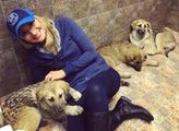 Жена хоккеиста ХК "Адмирал" увезла из Владивостока в США трёх бездомных щенков