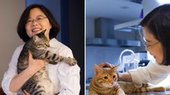 Президент Тайваня берет из приюта трёх собак