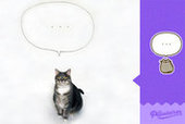 Французский кот сымитировал собрата из стикеров Фейсбука