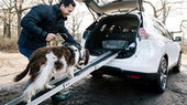 Производитель автомобилей Nissan позаботился о владельцах собак