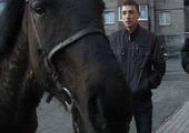 Во Владивостоке арестовали коня