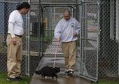 Трудных кошек перевоспитают в тюрьме