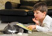 Бездомный кот помогает справиться с болезнью мальчику аутисту