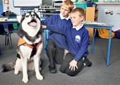 В английской школе помощником учителя взяли собаку