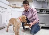 В России появится ещё один завод по производству корма для собак и кошек