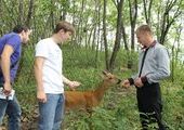Новые обитатели появились в "Сафари-парке" Шкотовского района Приморья