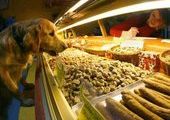 В Мадриде открылась кондитерская для животных