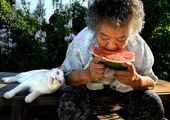 Японская бабушка Миса и ее кошка Фукумару