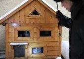 Бездомным московским котам устроили жилье