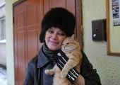 Бездомным московским котам устроили жилье