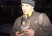 Кота, просидевшего запертым в машине 4 дня, спасли