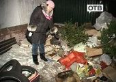 Страшную находку обнаружила на свалке жительница Владивостока
