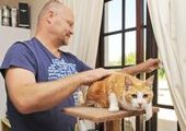 Кошка предупредила хозяина о грабителе