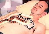 В Израиле входит в моду массаж змеями