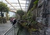 Самый большой в Европе аквариум теперь расположен в Дании