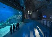 Самый большой в Европе аквариум теперь расположен в Дании