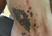 Мужчина сделал татуировку своему щенку и навлек на себя гнев общественности