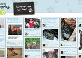 Социальная сеть для животных появилась в интернете