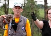 Спасение домашних животных после торнадо в Оклахоме
