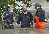 Не бросил своего кота
