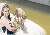 В киевском зоопарке спасли котенка, брошенного в клетку тиграм