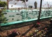 Гигантский забор в виде аквариума построили в Турции