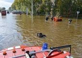 Помощь животным в затопленном Хабаровске