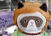 В Германии игрушка "сердитая кошка Меркель" стала очень популярной