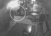 Непрошенный медведь заглянул в бар и был выгнан официанткой