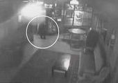 Непрошенный медведь заглянул в бар и был выгнан официанткой