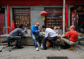 В Пекине прошел чемпионат по сверчковым боям