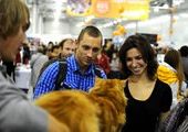 В Москве состоялась крупнейшая кошачья выставка "Экспокот"